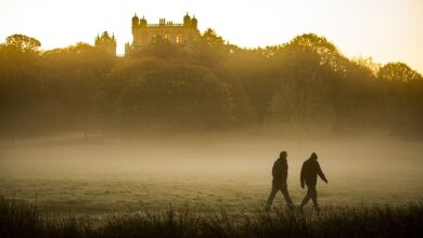 International Men’s Day